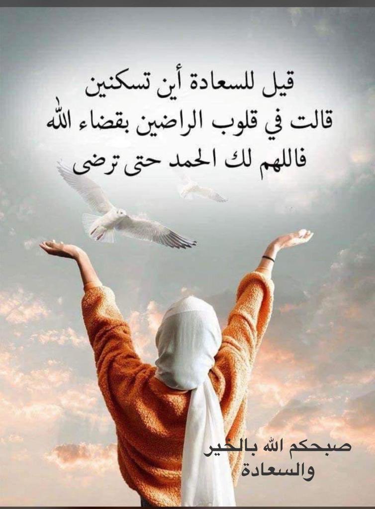 moudialashgar's tweet photo. https://t.co/DmsEdkPUYJ