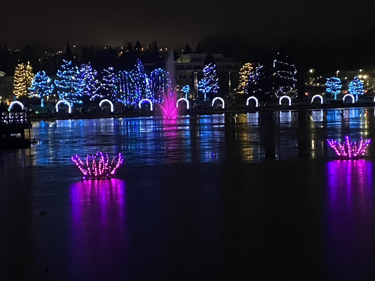 Liv2bLeen's tweet photo. Lights at Lafarge Lake in Coquitlam is always magical. #lightsatlafarge #Coquitlam https://t.co/bnGQFjqiOk