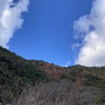 四四一六のツイート画像