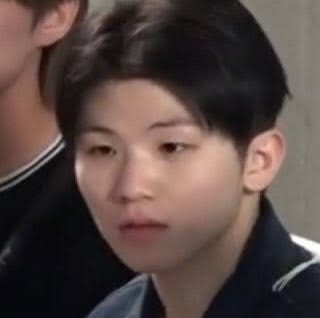 담비 tweet media
