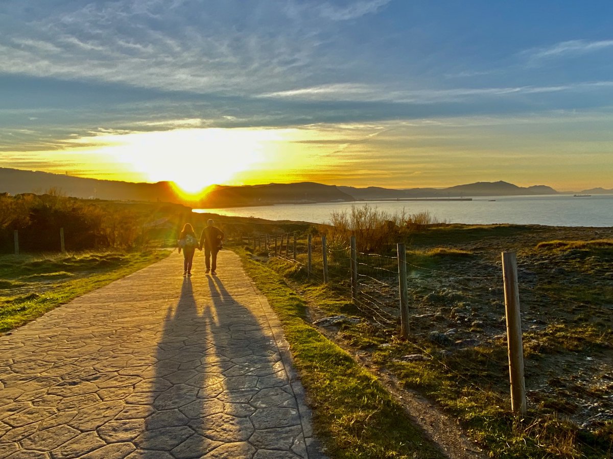 𝓥𝓲𝓻 📸 tweet media