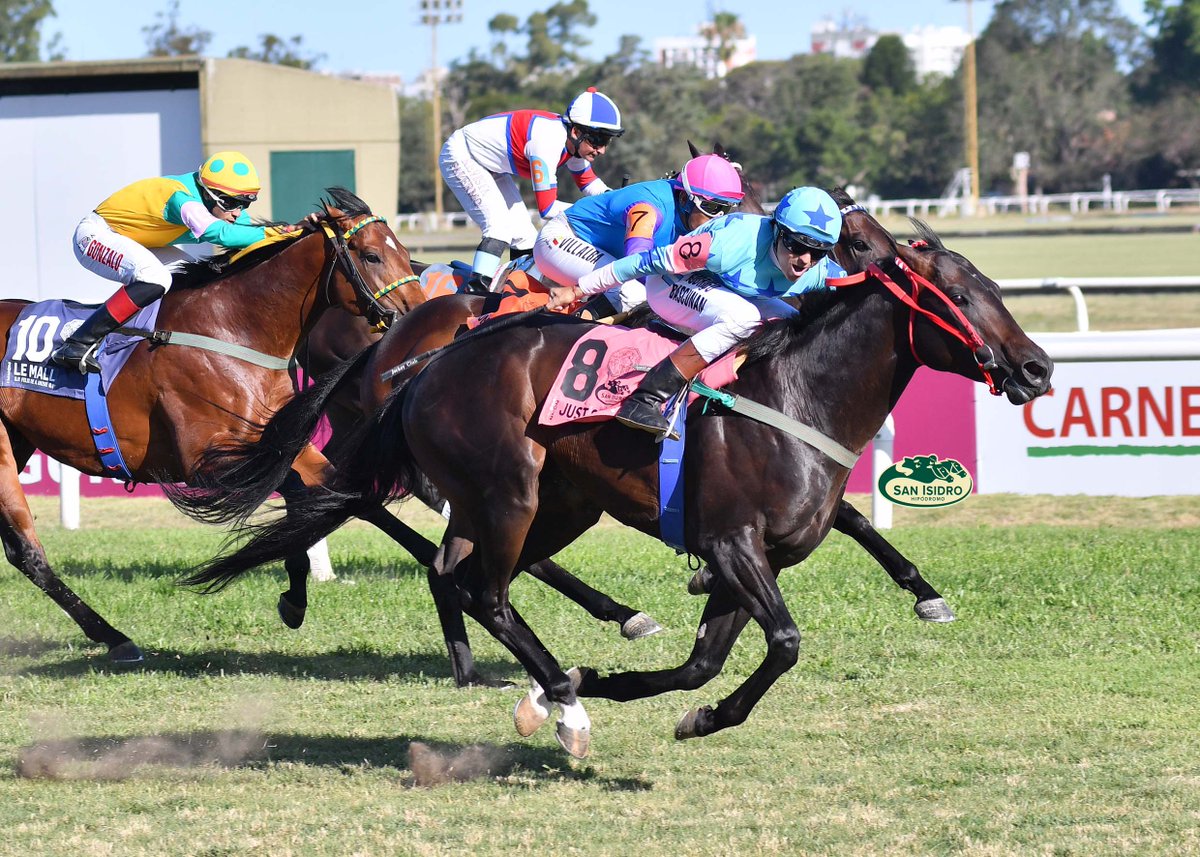 HipodromoSI's tweet photo. ✅ En el Hipódromo San Isidro se disputó el #GPAlzagaUnzué (G1 - 1000 metros), donde se impuso #JustOnTime (Hurricane Cat), del #StudValleMaría, entrenado por #AngelCampora y dirigido por #RodrigoBascuñan. https://t.co/1h2tnq19HY