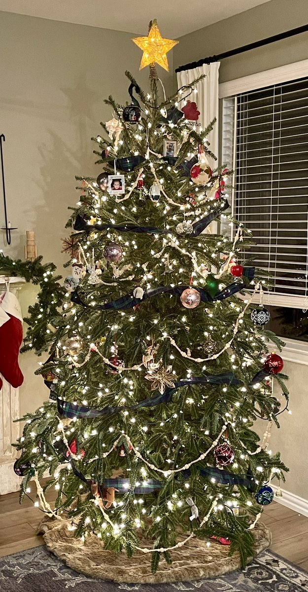 fancythis's tweet photo. i’m a little late with this this year…but…this is ivy and she thinks we should have a thread of happy christmas trees, so… #showmeyourtree! https://t.co/o2nra8MWiu