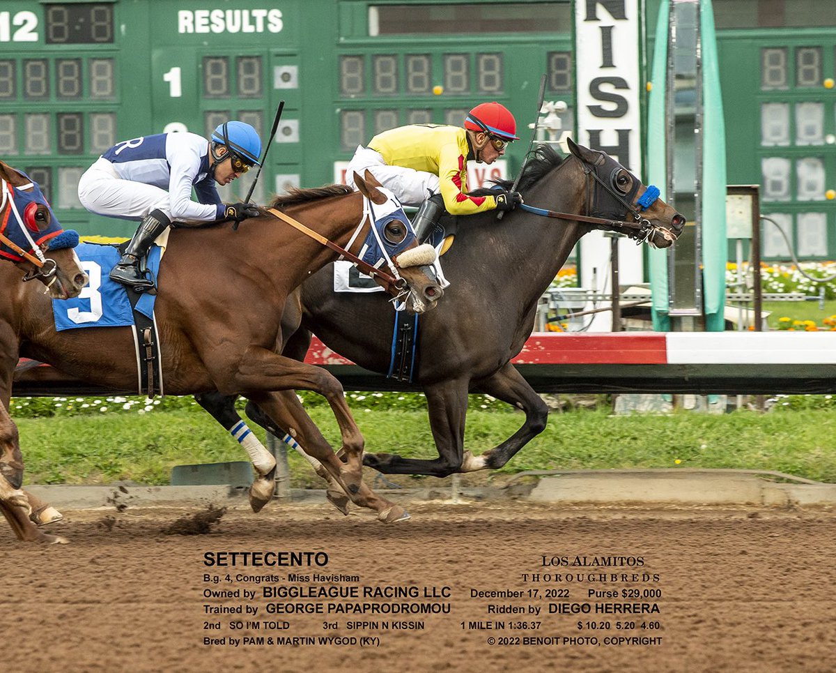 gap_racing's tweet photo. Settecento gets the W today @losalracing. Great ground saving ride by @JockeyHerrera. Congratulations to owners Biggleague Racing LLC! #GAPRacing @Andrew__Lerner https://t.co/uqtOzXD13K