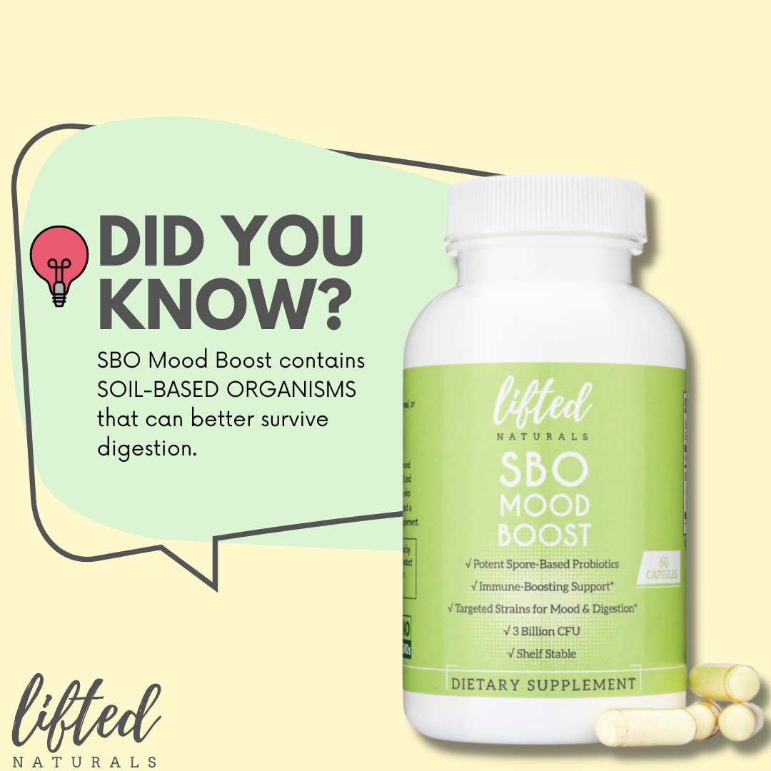 The fourth and final probiotic that we launched is SBO Mood Boost. It is highly resistant to stomach acid, which makes it a really great choice if you recently wiped out your good bacteria. 💣 🙌🏻💛😌