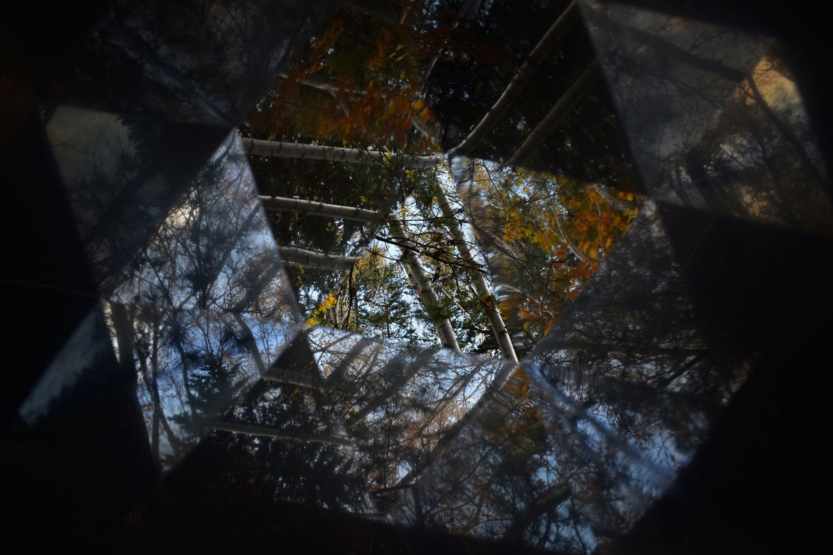 MayukoOgawa's tweet photo. "Quiet and gentle"
https://t.co/BFXh2QEkx2
#NaturePhotography #naturelovers #Kaleidoscope #healingart #arttherapy #poetry #creativedoodle https://t.co/Eje23emuRB