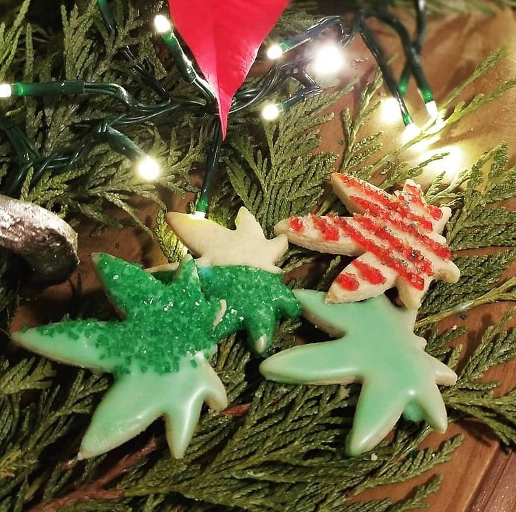 📸 : <a href="/hgil08/">gil</a>