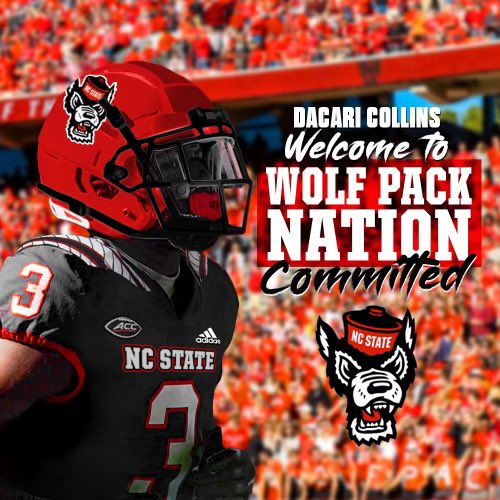 Let’s work 🐺#WPN