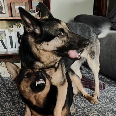 Kbow66's tweet photo. #NewProfilePic https://t.co/3cayeEUE4W