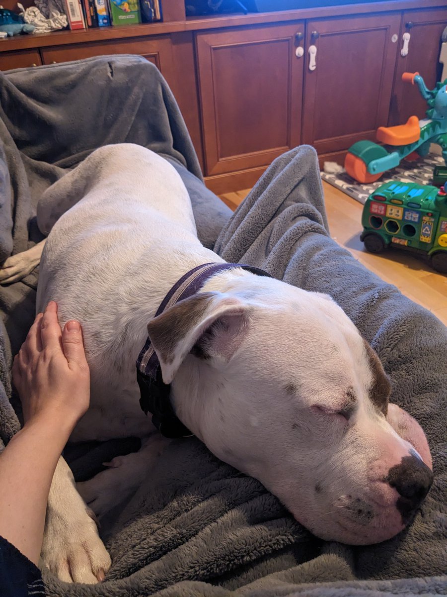 Someone missed me while I was at AGU.