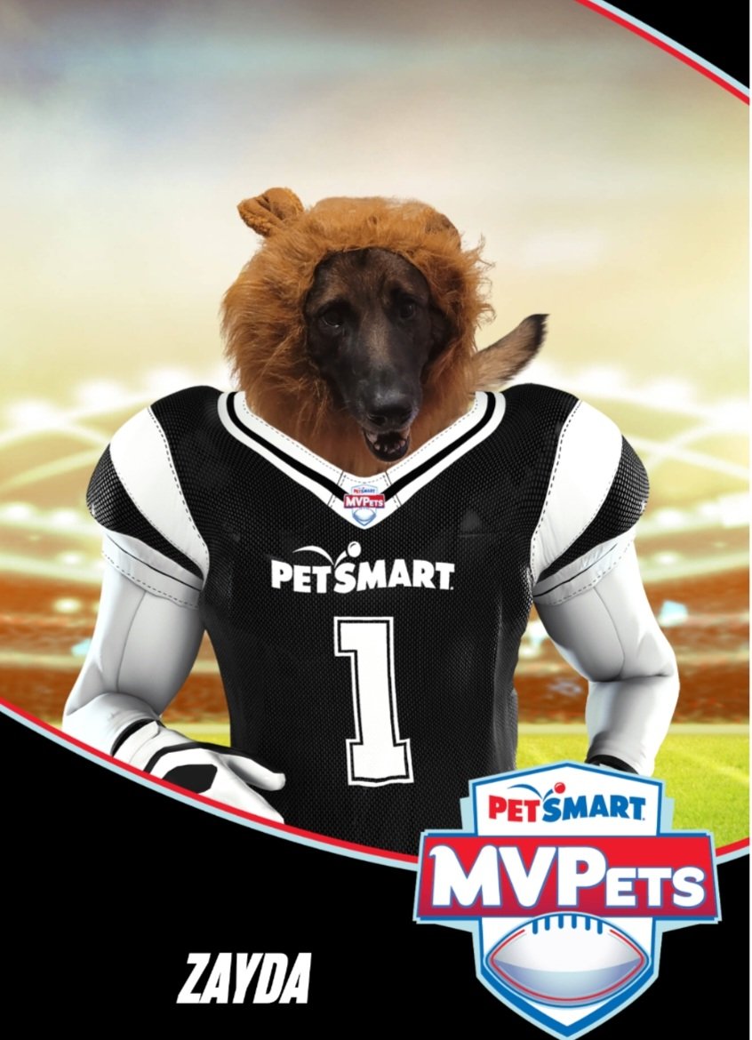 Minted a legendary @PetSmart 

#MVPets #anythingforpets