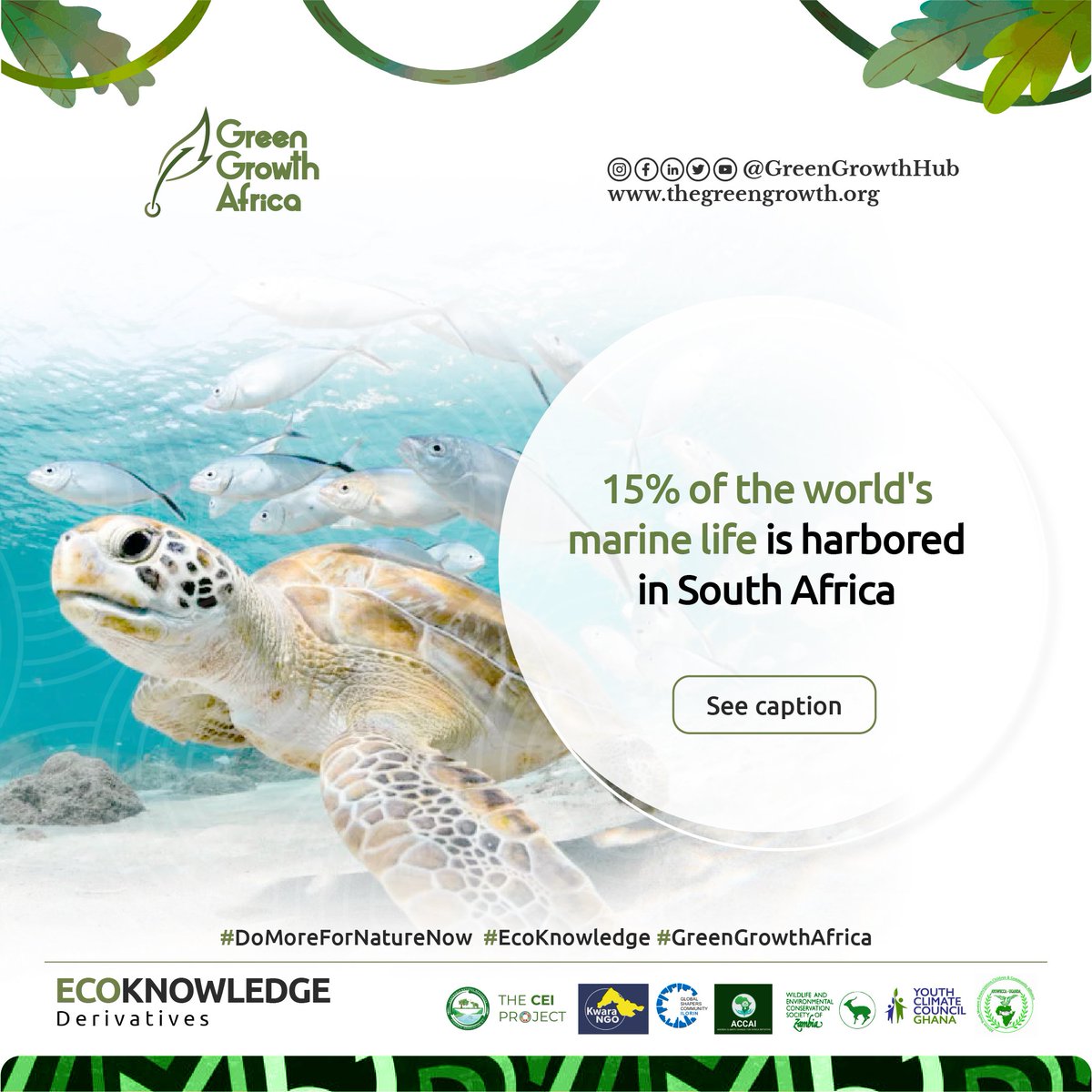 UNBiodiversity's tweet photo. Marine life should also be protected by all means, as it provides nutrition, medicines, recreation and a source of renewable resources. #DoMoreForNatureNow #EcoKnowledge #GreenGrowthAfrica
via @GreenGrowthHub https://t.co/XeYKEt7WAl