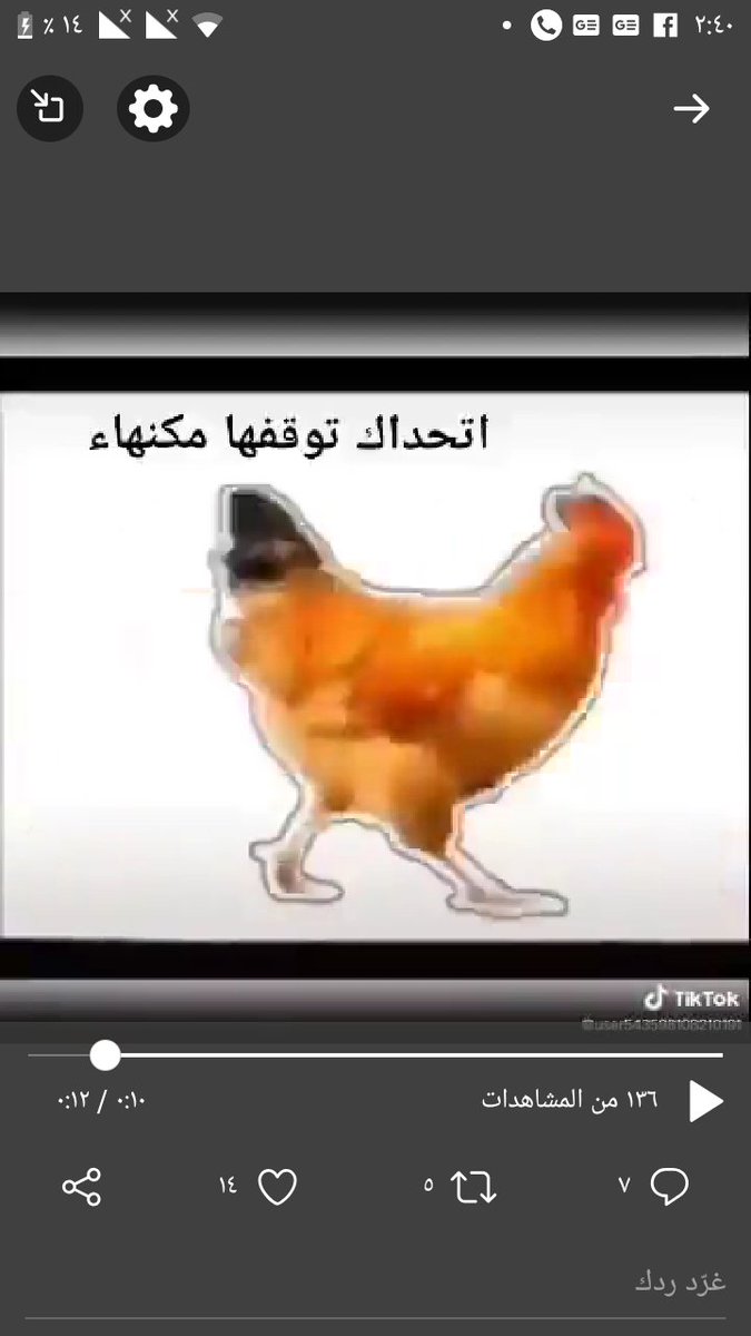 YasFaied's tweet photo. @ekramyyounis https://t.co/VhzZfRb9Gd
