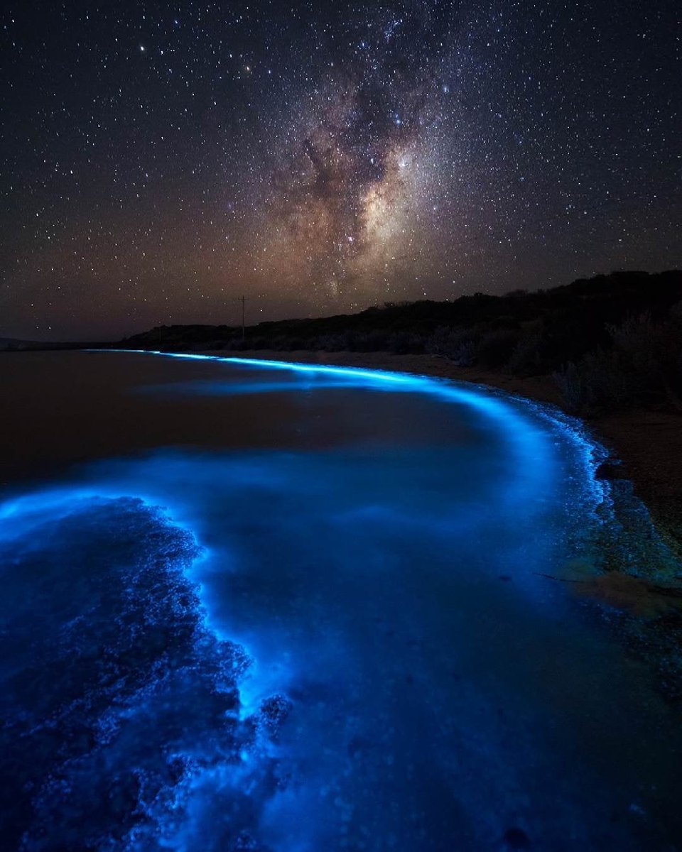 Living light under the Milky Way in Tasmania, Australia