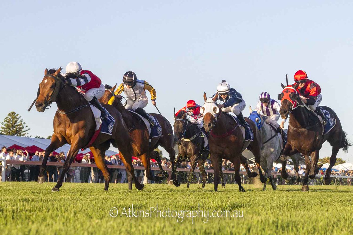 SAbreeders's tweet photo. Congratulations to all connections with #SAbred No.11 "Four Winds" (4m Sir Prancelot x Marin County) Race 8 (BM58) at @SAJockeyClub. Trained by S Burford and ridden by B Vorster. Bred by @CornerstoneStud and Mr John McEntee @SAbreeders @s_saroa https://t.co/vzoraAW9ZU