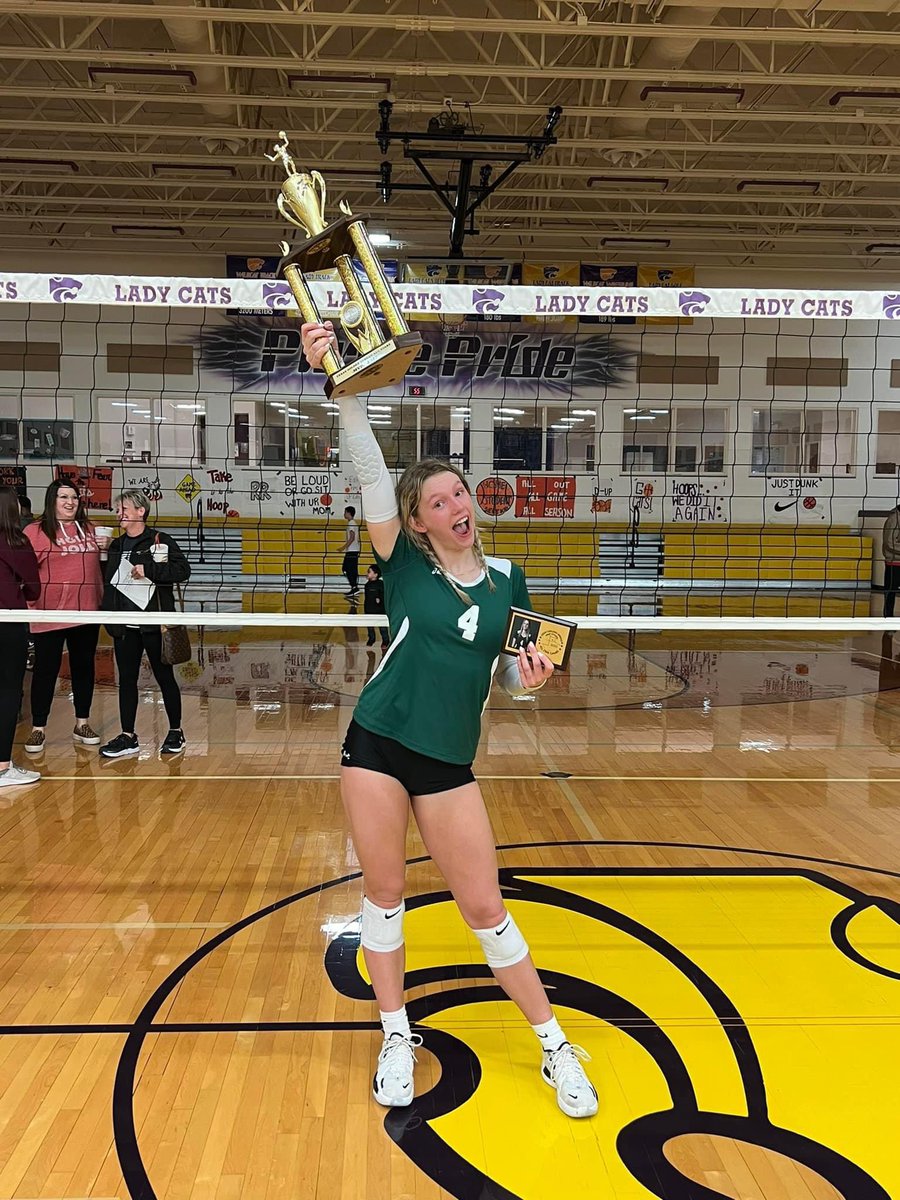 Bushland Falcon Media tweet media