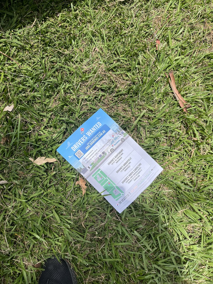 TolMera's tweet photo. @dominos nice job littering everywhere https://t.co/QBvQXvQaze