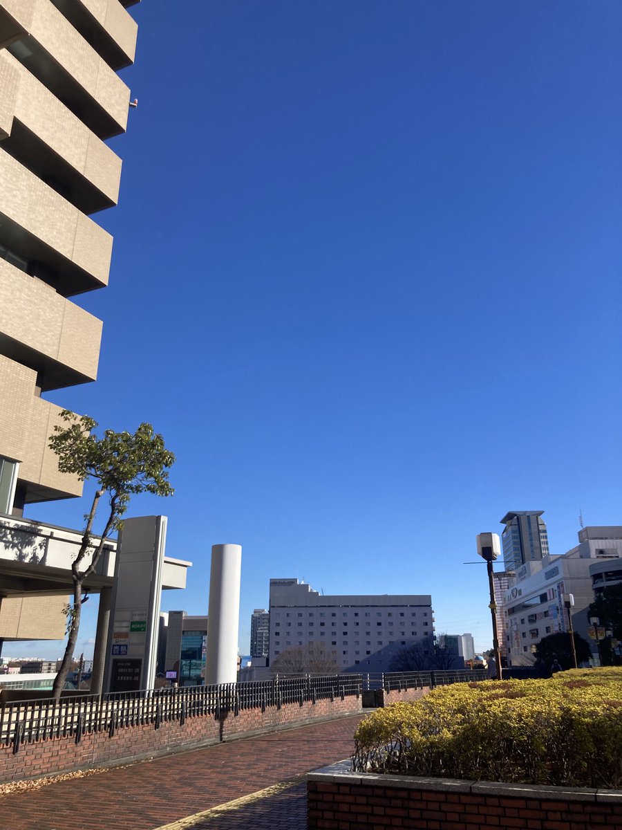 どうなんですかね? 