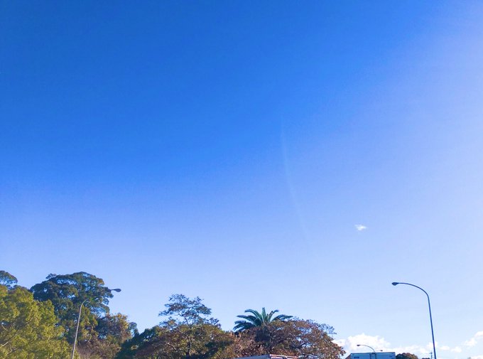 Twitterのコスプレ画像8