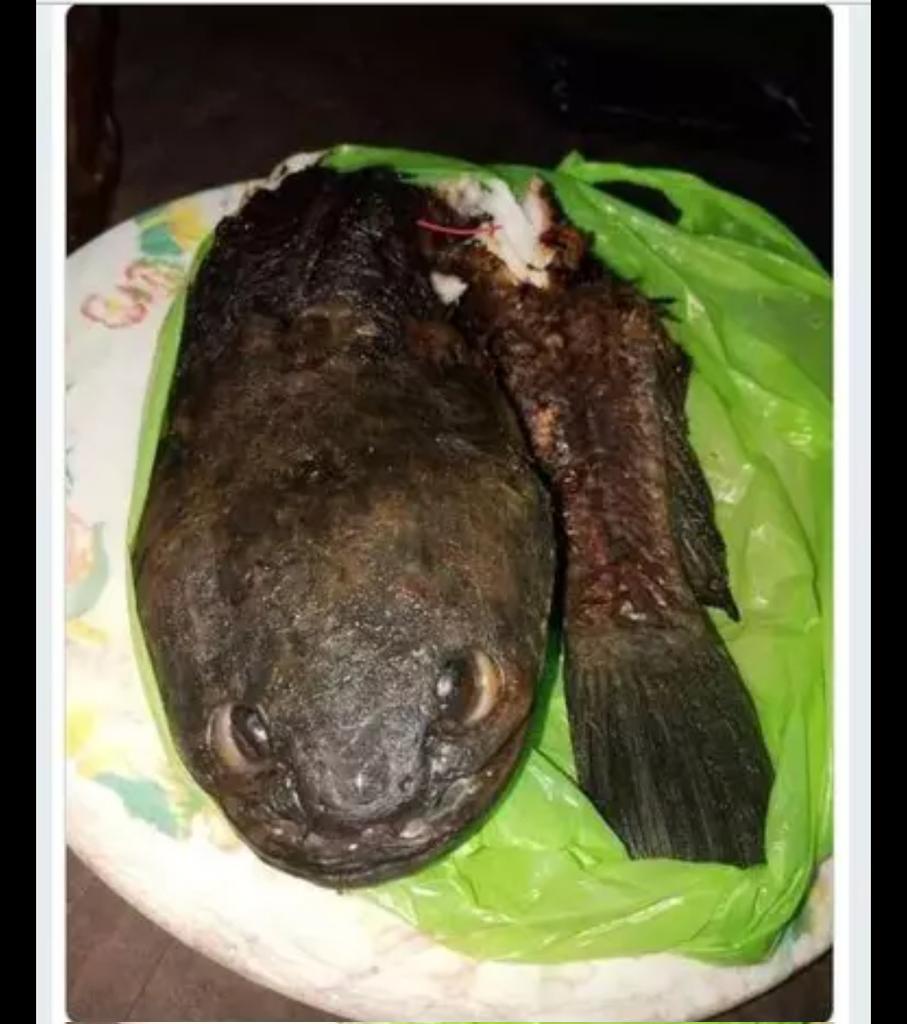 my name is bor tweet media