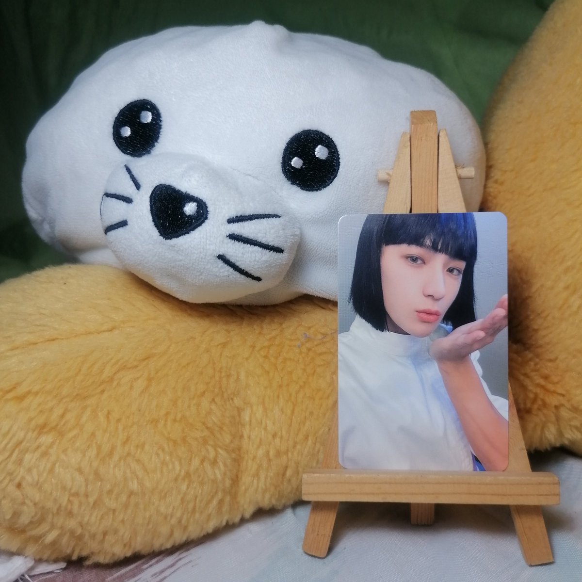 yjaeux's tweet photo. ⋆୨ ꒰ ( #yjaeux_sells ) ꒱ ୧˚
 -`, ꒰ wts I lfb I ph ꒱
  ⛲ hyunjae haku

 🎋 repriced to ₱220 only ꒰+pf&amp;sf꒱
  ꕤ gcash, sco, j&amp;t
   ⸙ rMbyt, mint con

 ᵕ̈ the boyz tbz theb deobi lee halloween makestar pob1 pob 1 one pre-order benefit pc poca photocard want to sell winter https://t.co/zhyT0FdBkz