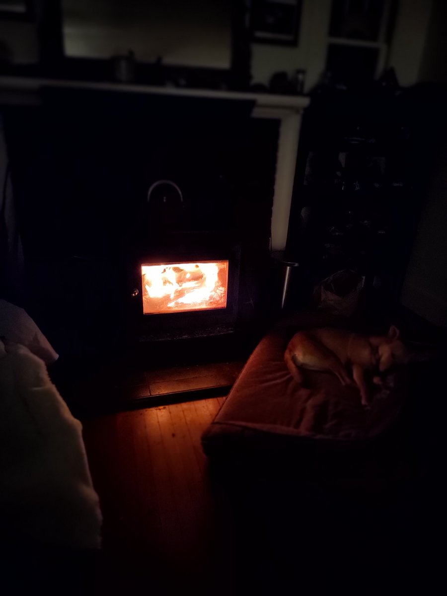 Dr. April Chiriboga tweet media