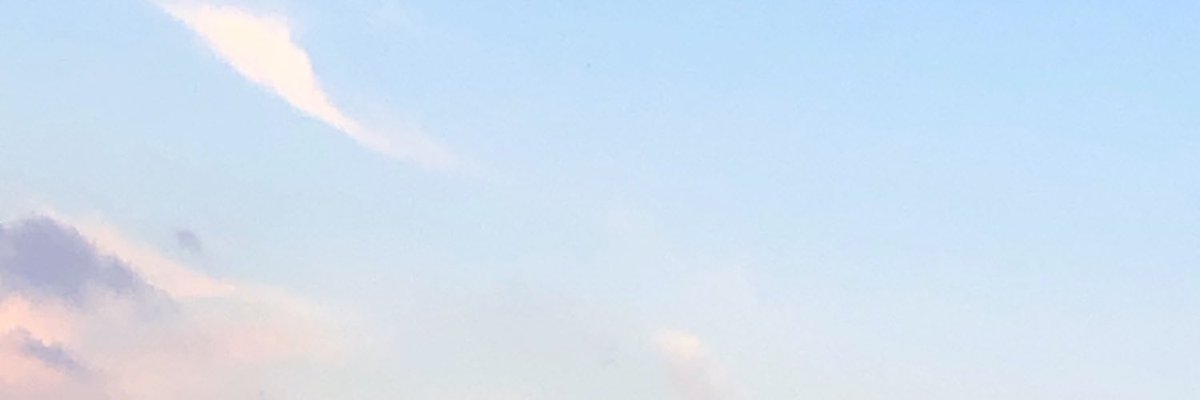 素材♡ 楽天市場】FUJITSUBO ステッカー 藤壺 011-38205 : FUJITSUBO