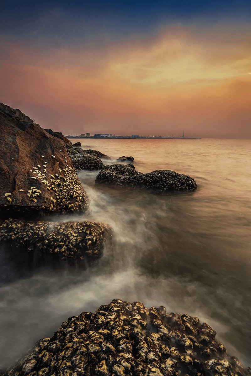 GM !
How about the last drop in 2022 ?!

My second piece on the SPECTACLE collection.

Coming soon on <a href="/opensea/">OpenSea</a>

#NFTCommmunity