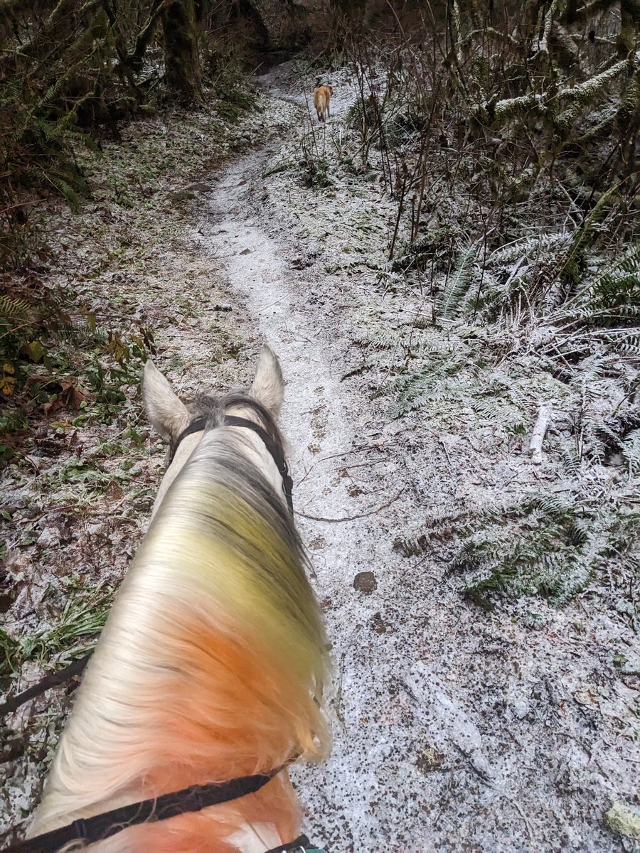 CortneyHonan's tweet photo. Faded Reignbow and snow dust! https://t.co/0PbGI7q1HT