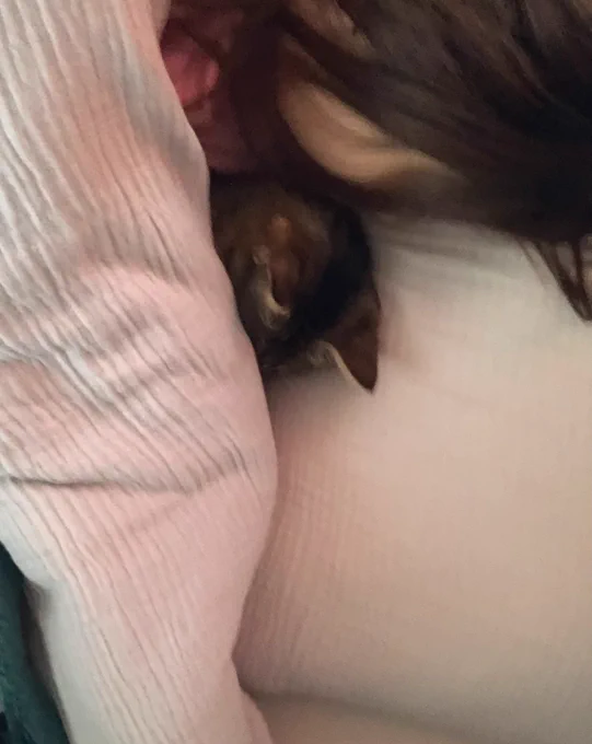 寝てるあいだ無意識に猫吸ってたらしい
