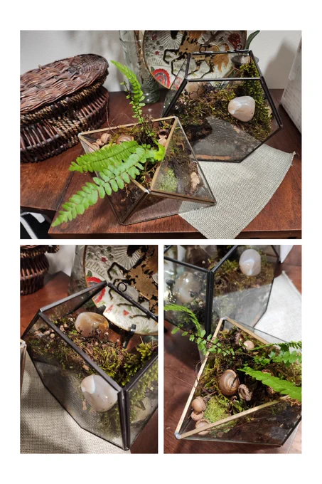 Hi it's me and my reminder that I am very offline these days because most of my time I work OR do house reno and various diy.
Accept my proof of some mossariums I made 