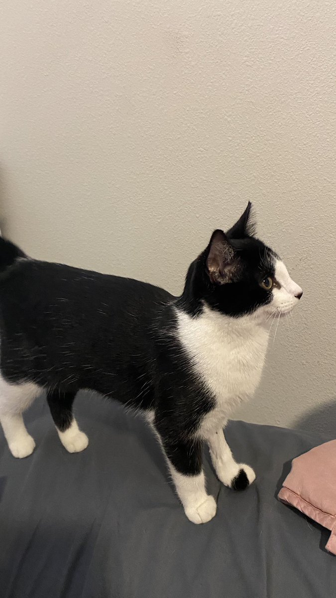 🔞Peachy🍑Mary🔞 tweet media