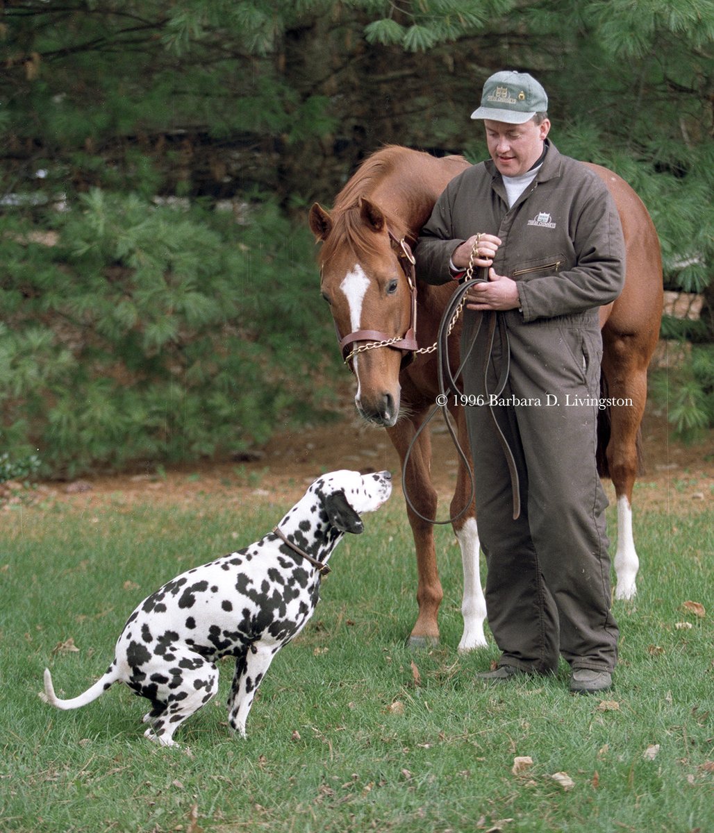 DRFLivingston tweet picture