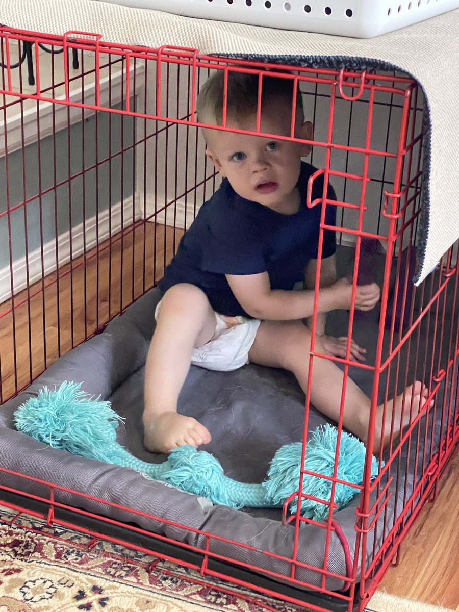 WillPowers tweet media