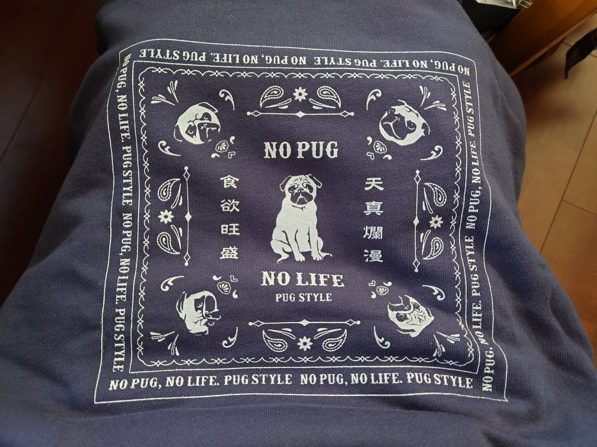 thrashmetalist1's tweet image. 超可愛いパーカーが届いた
#PUGSTYLE