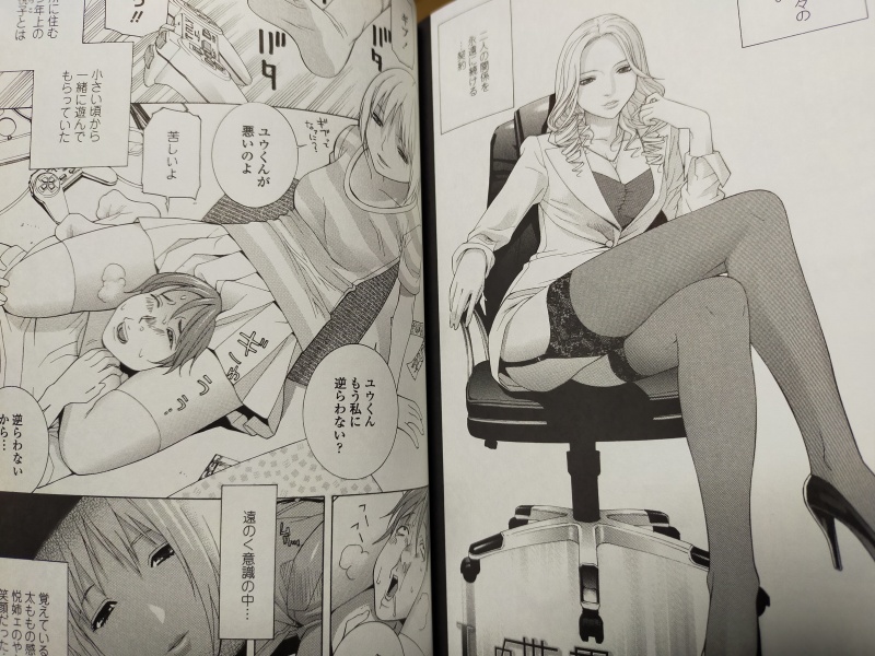 小さいころから隣の幼馴染のお姉さんに性癖を歪めさせられた青年のお話
「Lの世界」が入ってますよ! 