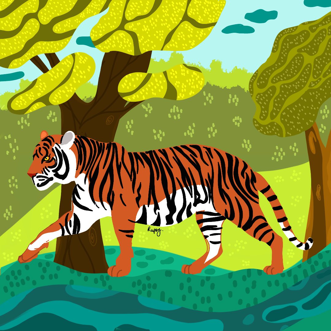 My travel to forests of Central India next year is on my mind
#Tigers #wildlife #illustration   #art #artistsontwitter #wildlife #forests #centralindia