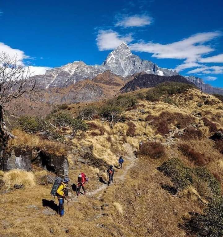 AdhikariChin's tweet photo. Machhapuchre Model Trek 🇳🇵
If you feel lonely, pack and move to MMT.
#mountain #machhapuchre
#Trekking #machhapuchremodelTrek #nepalisbeautiful #amazingnepal #nepaltravel #nepaltrekking #nepal8thwonder #discovernepal #trekkinginnepal #awesomenepal #explorehimalayas #himalayas https://t.co/w19HtGBgQu