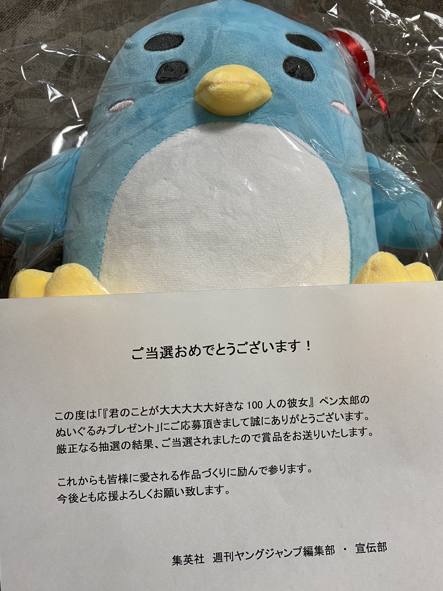 君のことが大大大大大好きな100人の彼女　ペン太郎　ぬいぐるみ　当選品 51JCTiGthgL._AC_UL210_SR210,