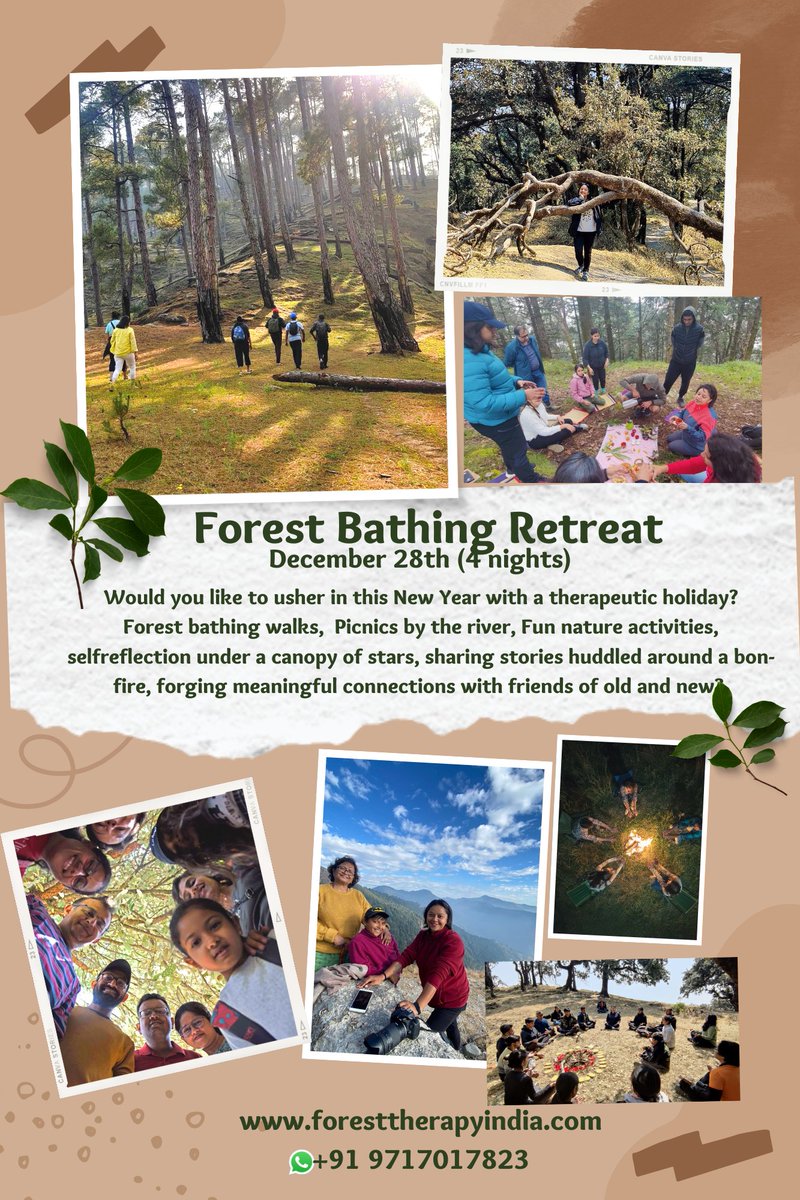 Join a forest bathing retreat 
This new year wa.link/ulwsmz

#retreat #selfcare #therapy #foresttherapy #forestbathing