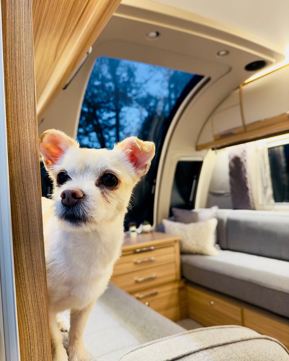 thetouringboys's tweet photo. Say hello to our new @BaileyofBristol Unicorn Cartagena, we are very much looking forward to creating fond new memories in her. #Caravan #Travel #travelphotography #newcaravan #staycation #travelling https://t.co/CAHswpWkoD