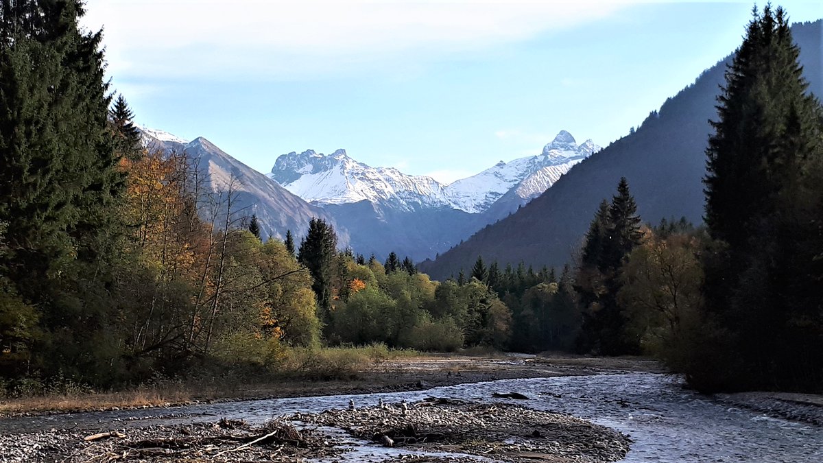 Green is a mission tweet media