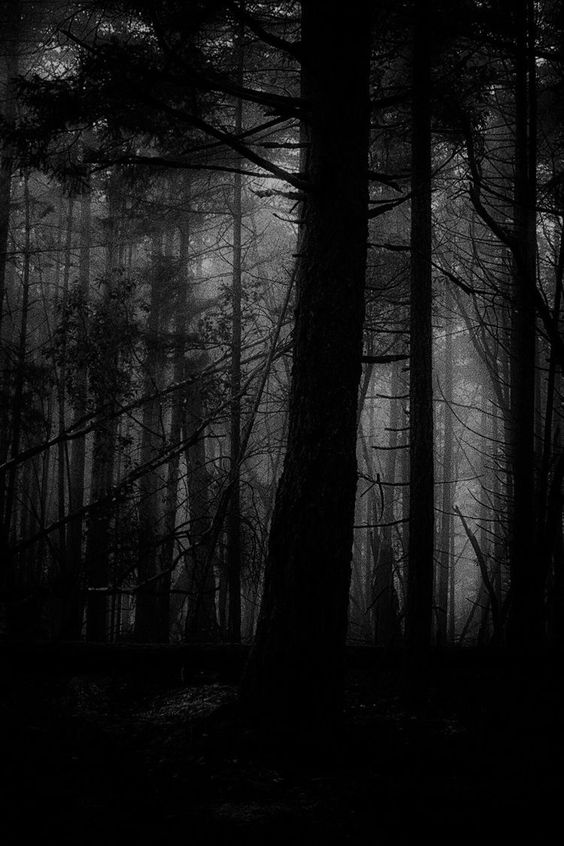 Atmosphericblck's tweet photo. https://t.co/Dqx1rbNBvU