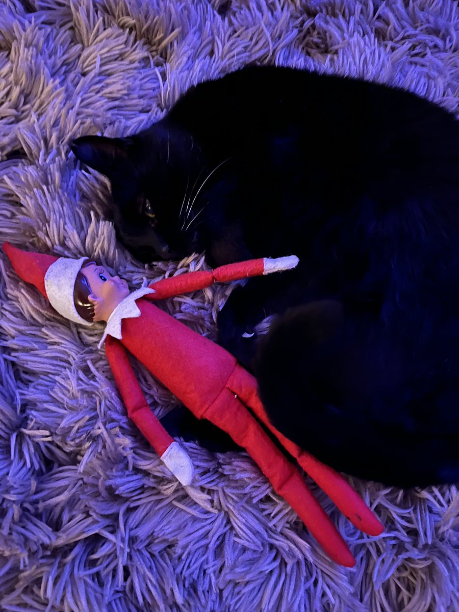 LukeyUni's tweet photo. #elfontheshelf https://t.co/Dufbads3xP