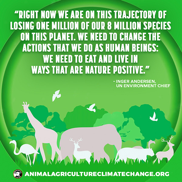Our planet is a dire state. We collectively need to take action! The easiest and most effective thing any person can do right now is to take meat, eggs and dairy off our plates. The time has come to eat and live in ways that are nature positive. 🌱🌱💚

#COP15montreal #goVegan