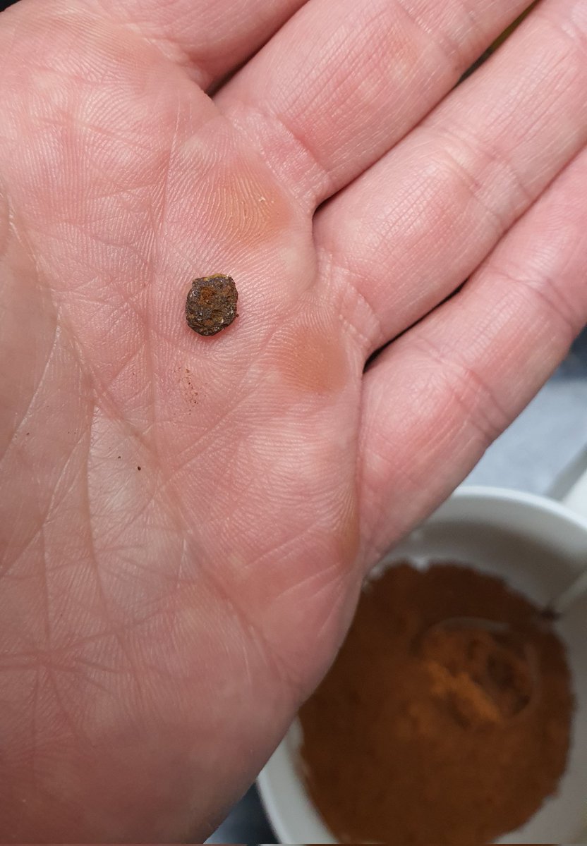 batisiuC's tweet photo. Good morning @lavazza @lavazzagroup 
Could you please advise what could it be?
Founded in d'Oro grains while grinding. https://t.co/OFmVgmIqZt