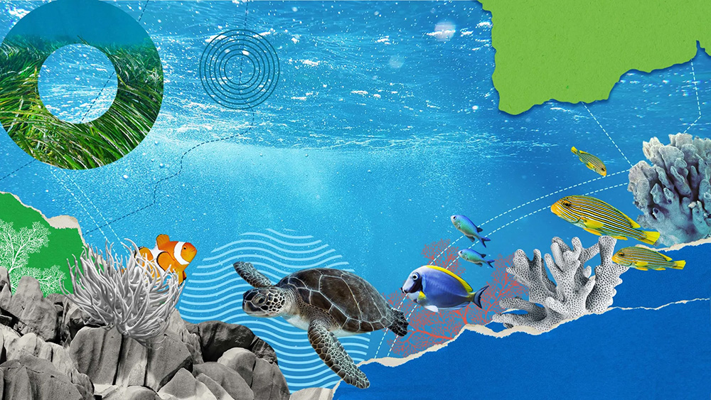 Countries around the world are creating and expanding marine protected areas in order to sustain ocean life and address #ClimateChange.

Find out about some of the marine protected areas created by <a href="/theGEF/">Global Environment Facility (GEF)</a> and partners.

bit.ly/3V7YL1o