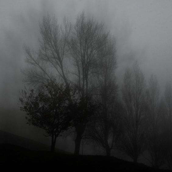 Atmosphericblck's tweet photo. https://t.co/VOBCb6A2DH
