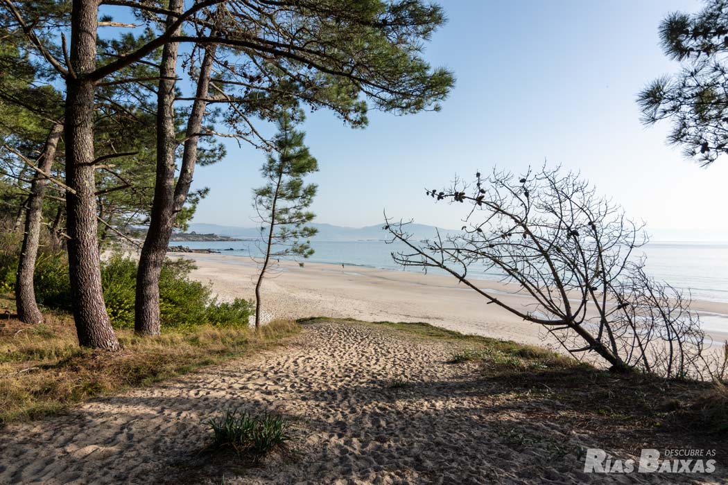 descubreasRB's tweet photo. Complejo dunar Barra-Viñó-Nerga, en Cangas do Morrazo. Uno de los lugares más binitos de la ría de Vigo. https://t.co/VQdF34fYOW