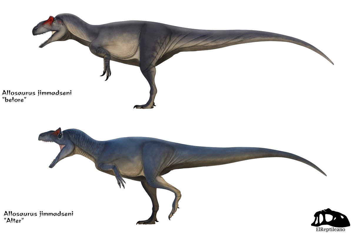 Redesign of the Allosaurus finished! The truth is this new version a thousand times better than the previous one, also and to say that the design of JWD is incredible! of my favorite designs #JurassicWorldDominion